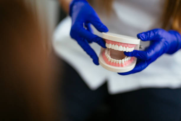 Best Dental Exams and Cleanings  in Cape Coral, FL